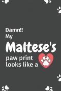 Damn!! my Maltese's paw print looks like a: For Maltese Dog fans