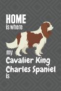 Home is where my Cavalier King Charles Spaniel is: For Cavalier King Charles Spaniel Dog Fans