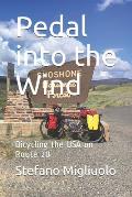 Pedal into the Wind: Bicycling the USA on Route 20