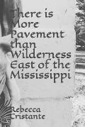 There is More Pavement than Wilderness East of the Mississippi