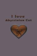 I love Abyssinian Cat