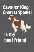 Cavalier King Charles Spaniel is my best friend: For Cavalier King Charles Spaniel Dog Fans