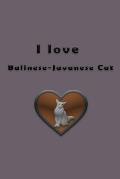 I love Balinese-Javanese Cat