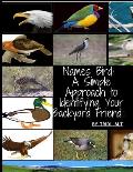 Names Bird: A Simple Approach to Identifying Your Backyard Friend
