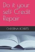 Do it your self Credit Repair