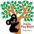 Hello Tiny Bear