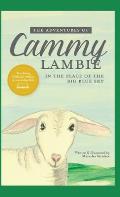 The Adventures of Cammy Lambie in The Place of the Big Blue Sky: teaching biblical truths in everyday life