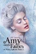 Amy Meets Fairies at Nome Aploom Book 2: The Book of Unlimited Power