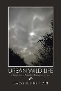 Urban Wild Life: A Collection of Poems for the Autumn of 2020