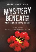 Mystery Beneath the Baneberry Bush: Based on the Thomas Jefferson Beale Cyphers