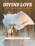 Divine Love Lent - Holy Week - Easter: A Devotional Inspired by Nature: Volume 4