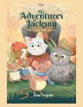The Adventures of Jackson: The Young Field Mouse