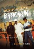 When Hip Hop Grew in Brooklyn