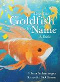 How the Goldfish Got Its Name: A Fable