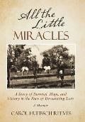 All the Little Miracles: A Story of Survival, Hope, and Victory in the Face of Devastating Loss a Memoir