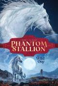 Phantom Stallion 01 Wild One