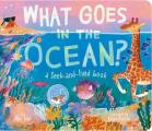 What Goes in the Ocean?: A Seek-And-Find Book