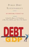 Public Debt Sustainability: International Perspectives