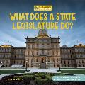 What Does a State Legislature Do?