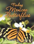 Finding Mexican Butterflies