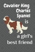 Cavalier King Charles Spaniel is a girl's best friend: For Cavalier King Charles Spaniel Dog Fans