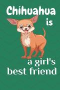 Chihuahua is a girl's best friend: For Chihuahua Dog Fans