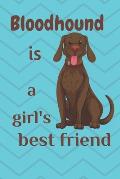 Bloodhound is a girl's best friend: For Bloodhound Dog Fans