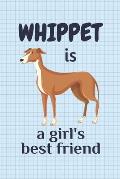 Whippet is a girl's best friend: For Whippet Dog Fans