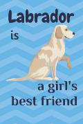 Labrador is a girl's best friend: For Labrador Dog Fans