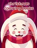 Christmas Coloring Books: Coloring Pages for Children ages 2-5 from funny and variety amazing image.