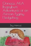 Orinoco, AKA Bogeybum, Adventures of an African Pygmy Hedgehog