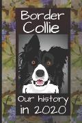 Border Collie: Our Story in 2020
