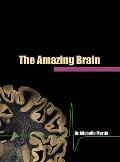 The Amazing Brain