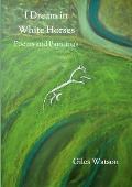 I Dream in White Horses: Poems and Paintings