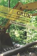 Crux: a 3 act lyrical drama to be set to operatic music