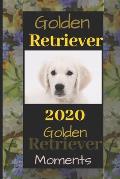 Golden Retriever: 2020 Golden Retriever Moments