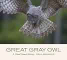 Great Gray Owl A Visual Natural History