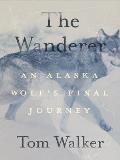 Wanderer An Alaska Wolfs Final Journey