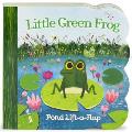 Little Green Frog Lift a Flap