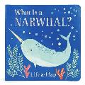 What is a Narwhal