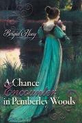 A Chance Encounter inPemberley Woods: A Pride and Prejudice Variation