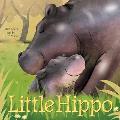 Little Hippo