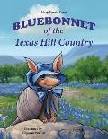 Bluebonnet of the Texas Hill Country