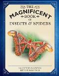 Magnificent Book of Insects & Spiders