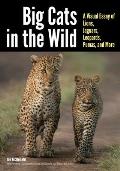 Big Cats in The Wild A Visual Essay of Lions Jaguars Leopards Pumas & More