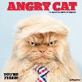 Angry Cat 2017 Wall Calendar