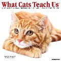 What Cats Teach Us 2017 Wall Calendar