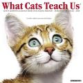 What Cats Teach Us 2018 Wall Calendar