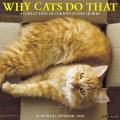 Why Cats Do That 2018 Wall Calendar