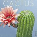 Cactus 2018 Wall Calendar